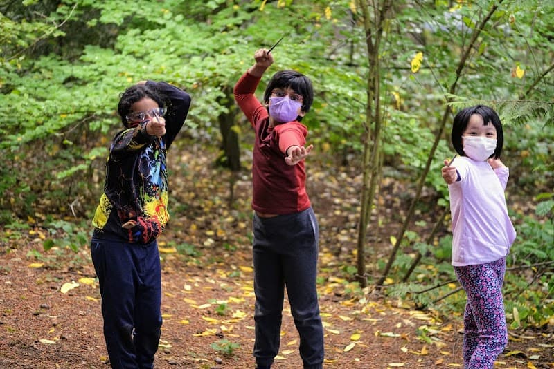 Photo by The Little School (Google)