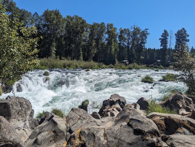 Photo by Crystal Stepp (Google)