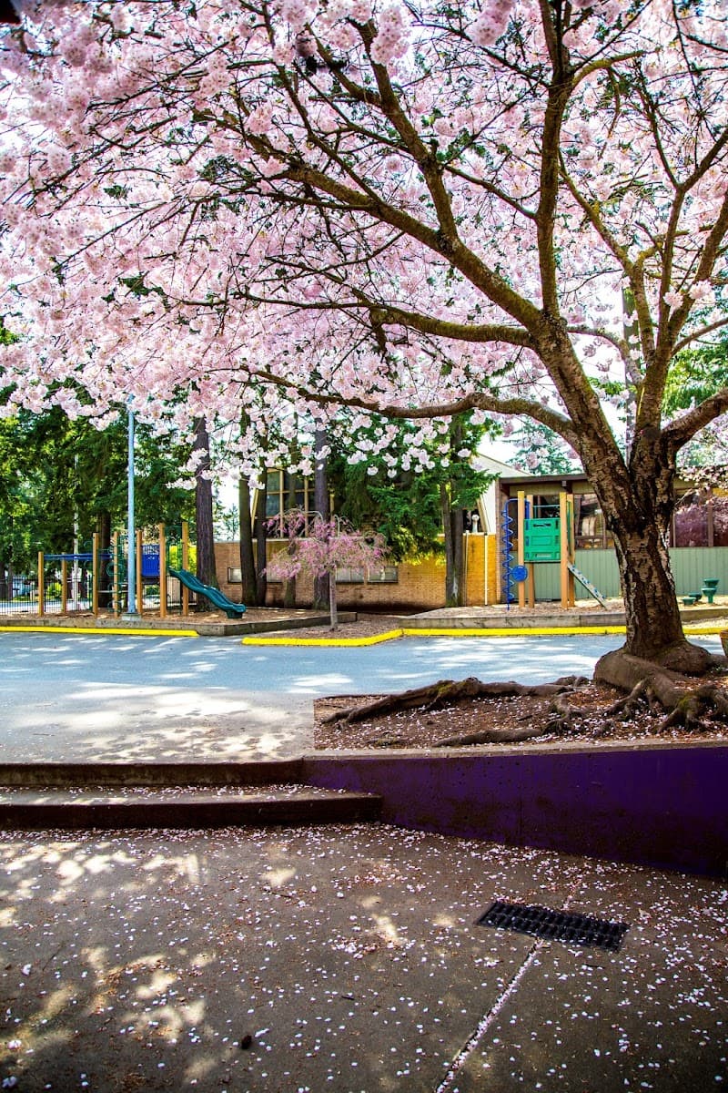 Photo by From a Google User (Google)