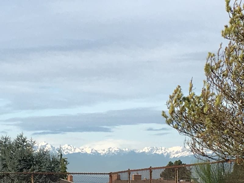 Photo by Phoebe (Google)