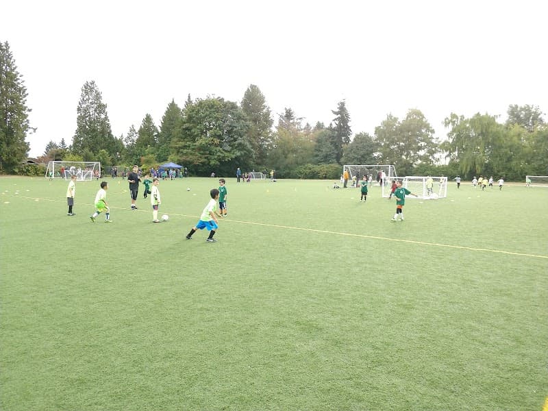 Photo by Marcin Zalewski (Google)