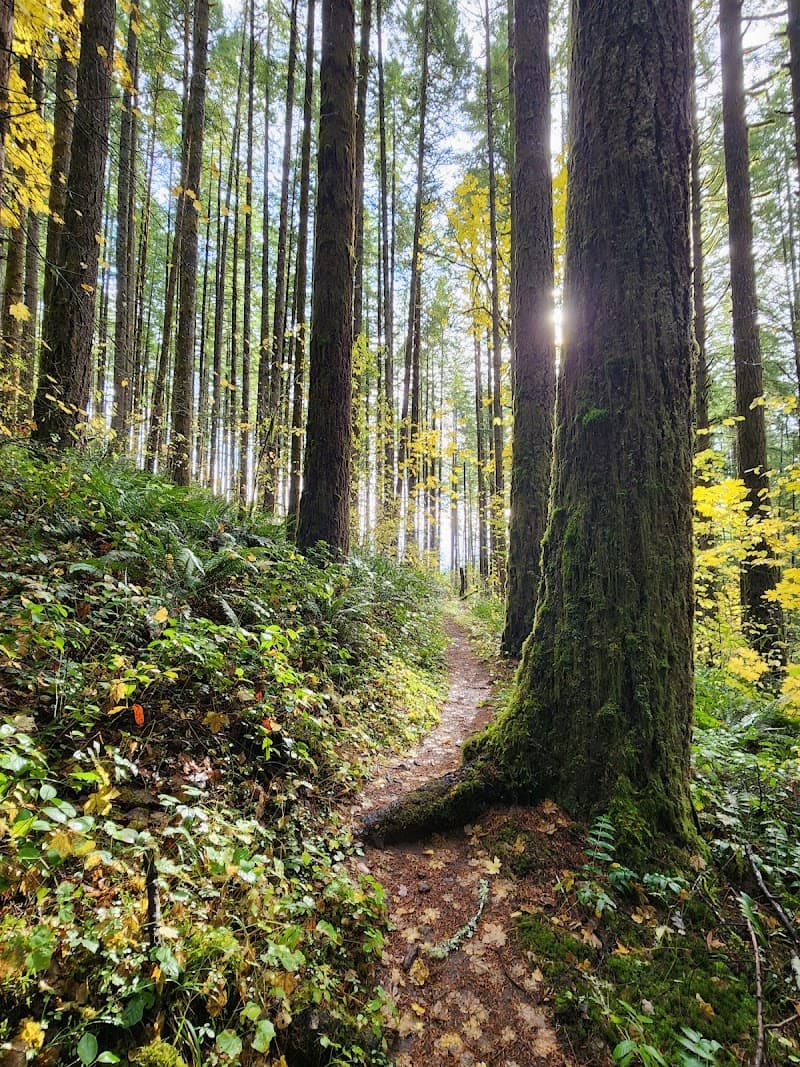 Shotgun Creek Recreation Site