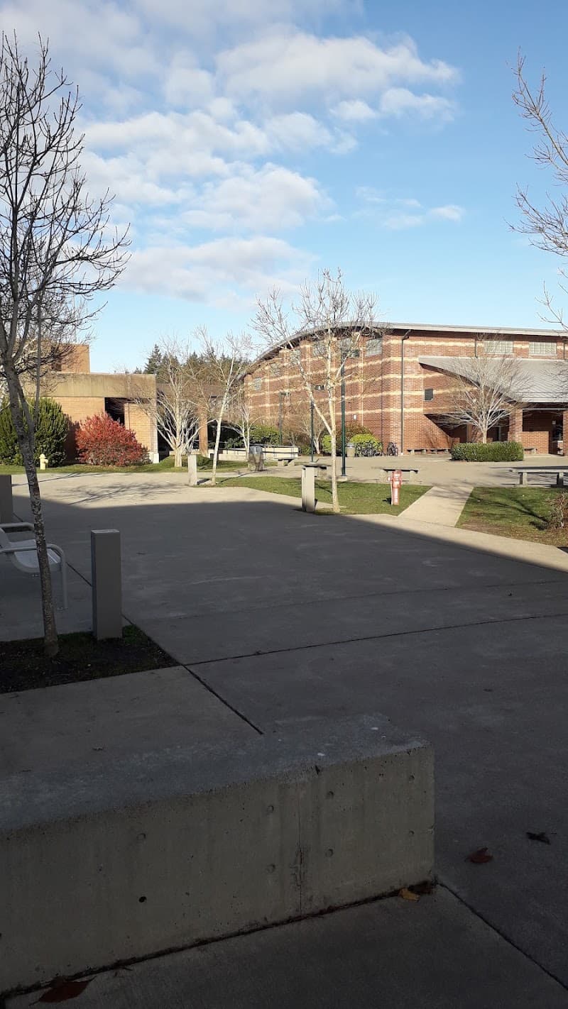 Photo by Gabriele De Capitani (Google)