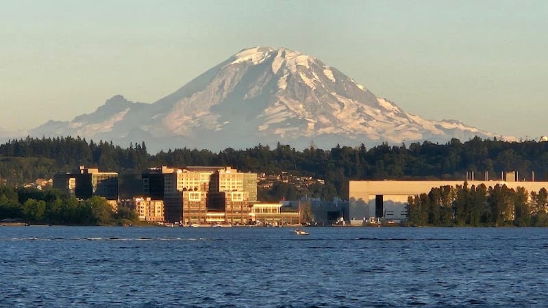 Photo by David King (Google)