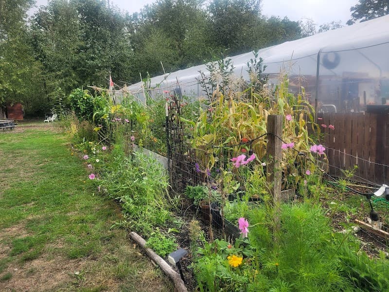 Photo by Aloysious X (Google)