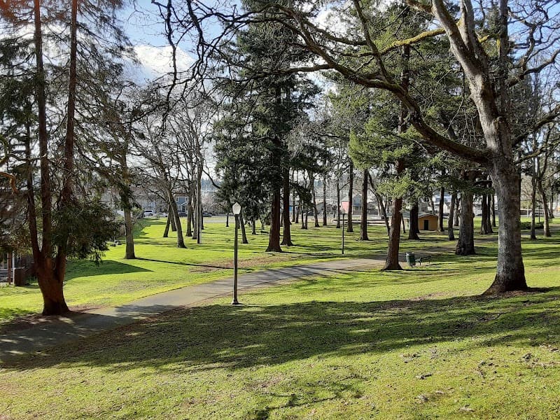 Photo by Tomas Larzsohn (Google)