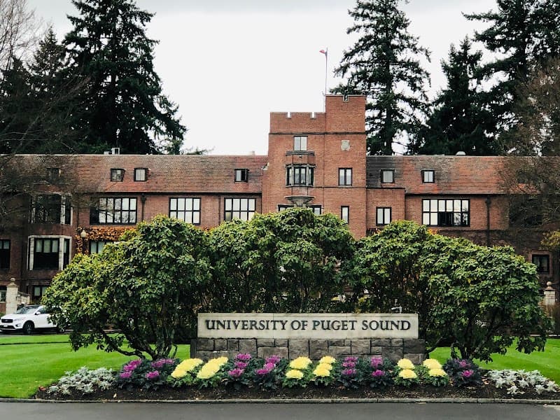 Photo by Kingston Yi (Google)