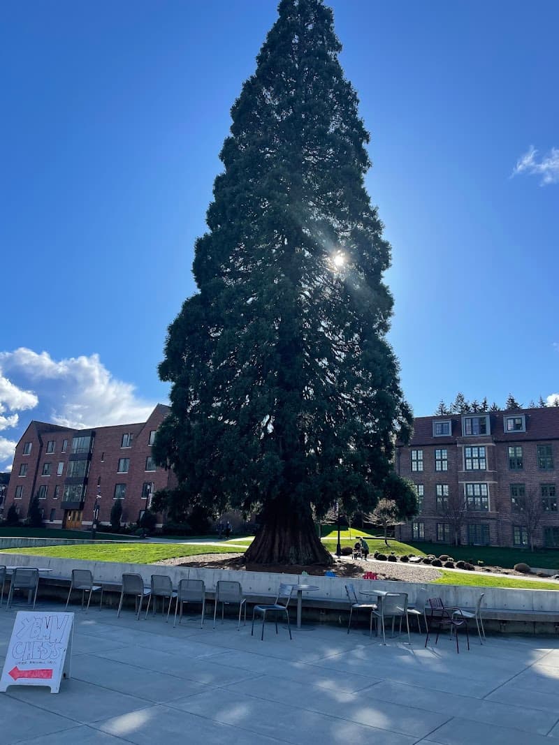 Photo by Loren Radzik (Google)