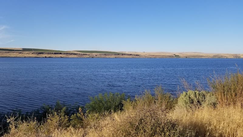 Photo by Joseph Mahan (Google)