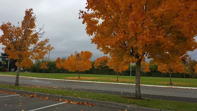 Photo by Ang S (Google)