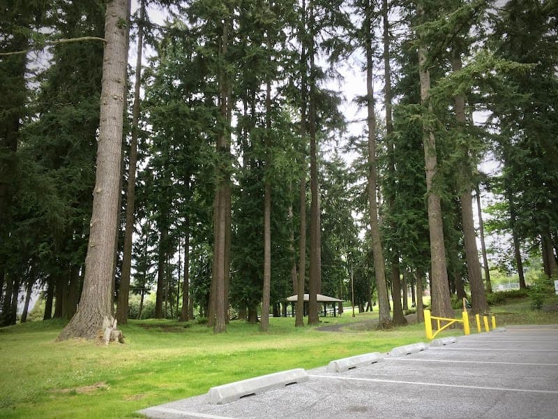 Photo by Steven Pavlov (Google)