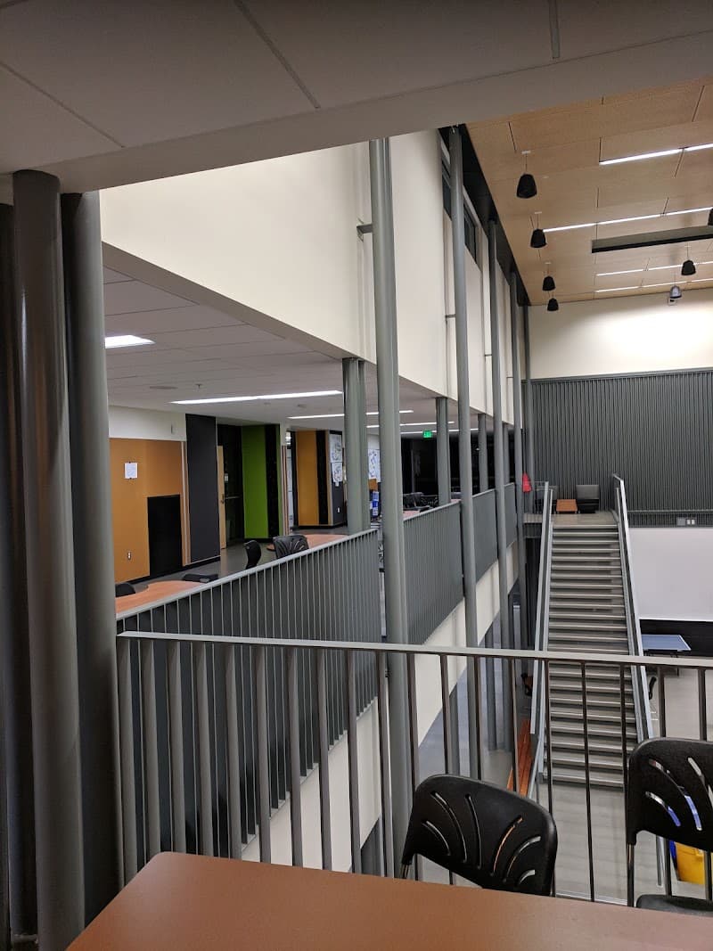 Photo by Usagi Mero (Google)