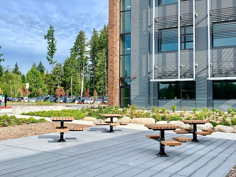 Photo by Jane Orlov (Google)