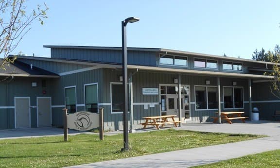 Photo by Anthony (Google)