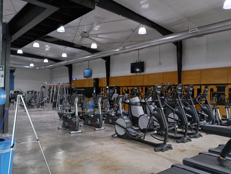 Photo by Lela Pola (Google)