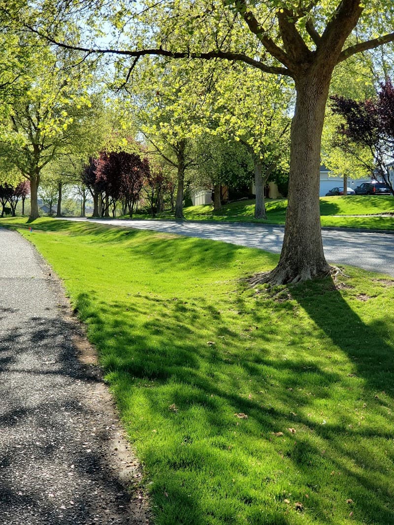 Photo by Tracey Miller (Google)