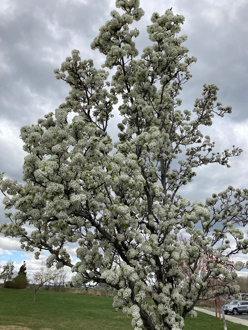 Photo by Pretty Pretty (Google)