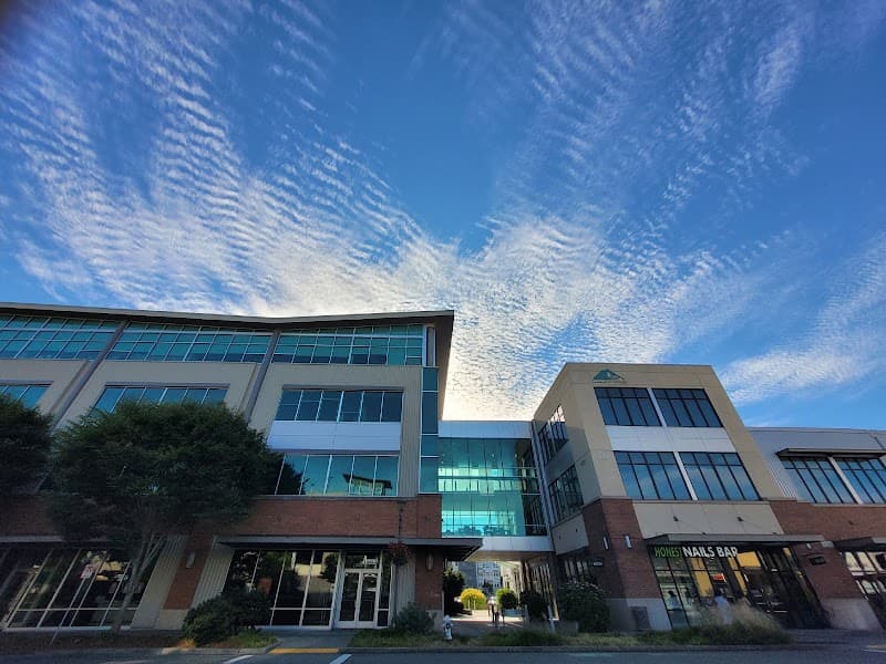 Photo by Darina Repeshko (Google)