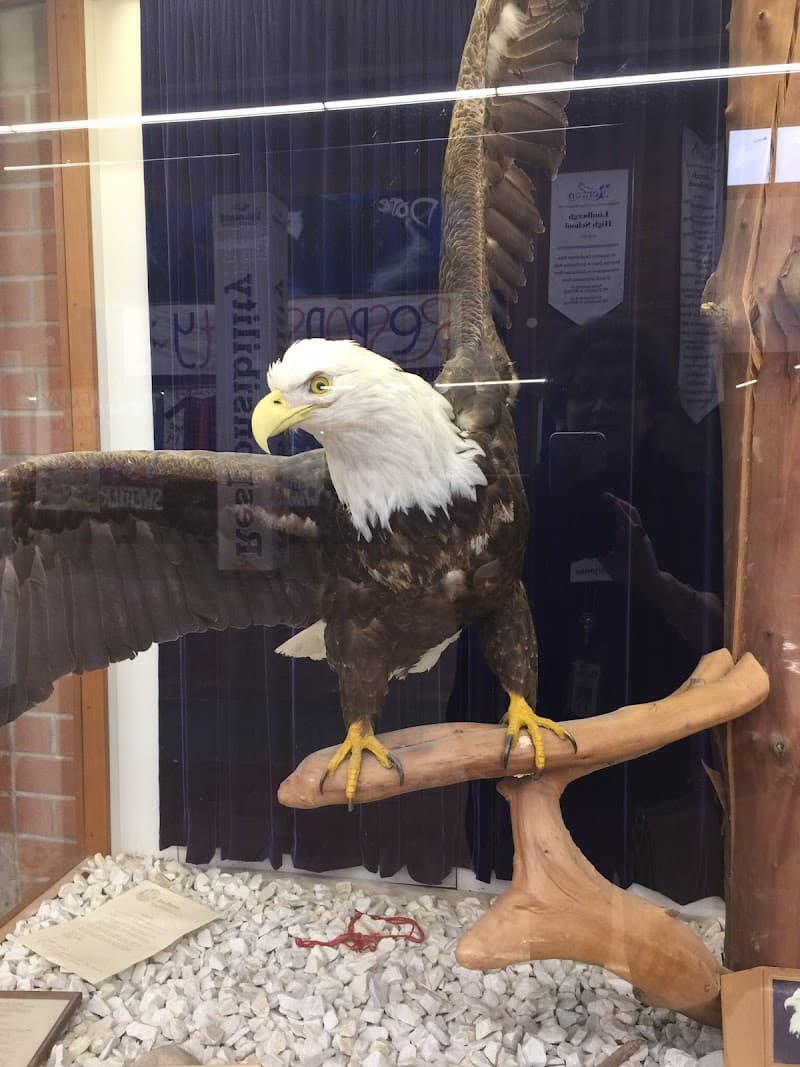 Lindbergh High School