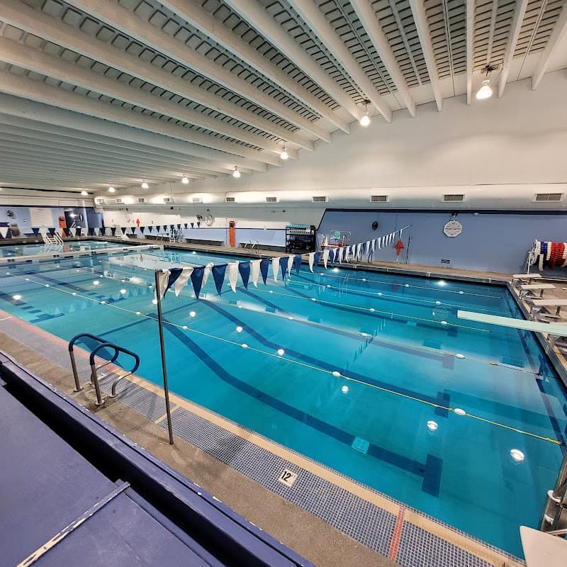 Photo by Valeriya Mandurova (Google)