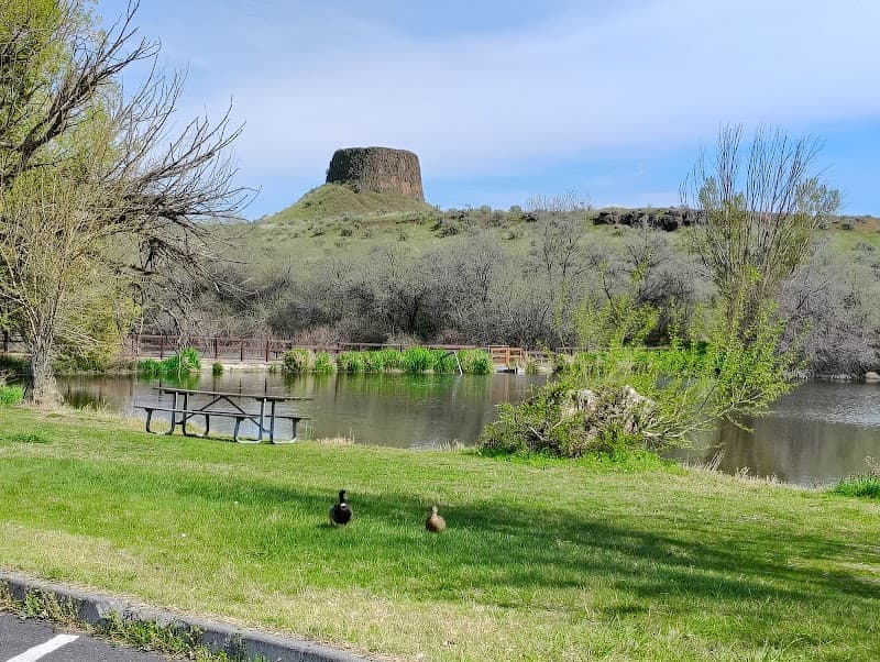 Photo by Barb Friend (Google)