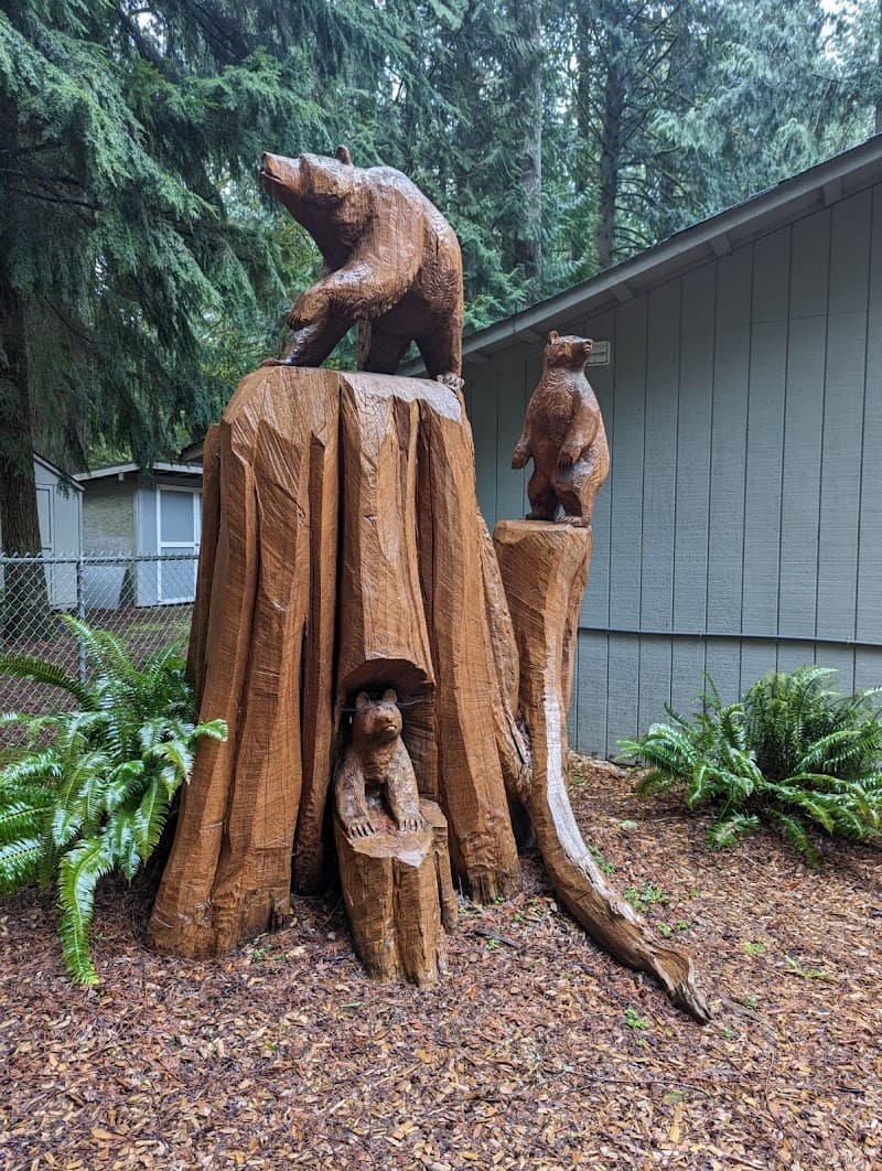 Photo by Mountainside School (Google)