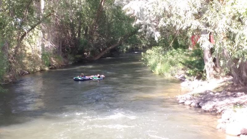 Photo by Detective Buns (Google)