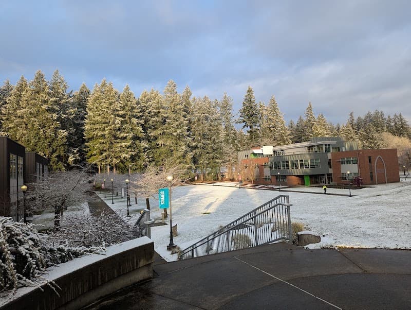 Saint Martin's University