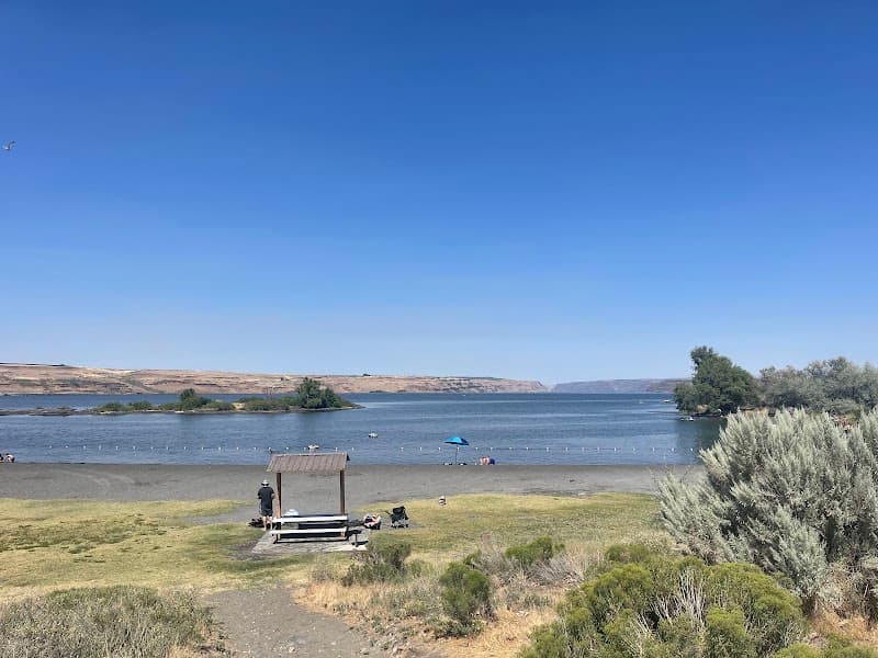 Photo by Carson Beebee (Google)