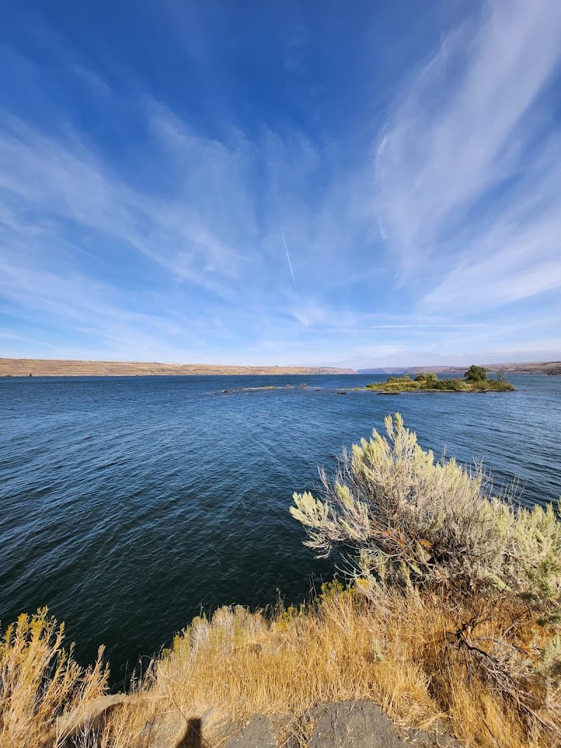 Photo by Zach Bull (Google)