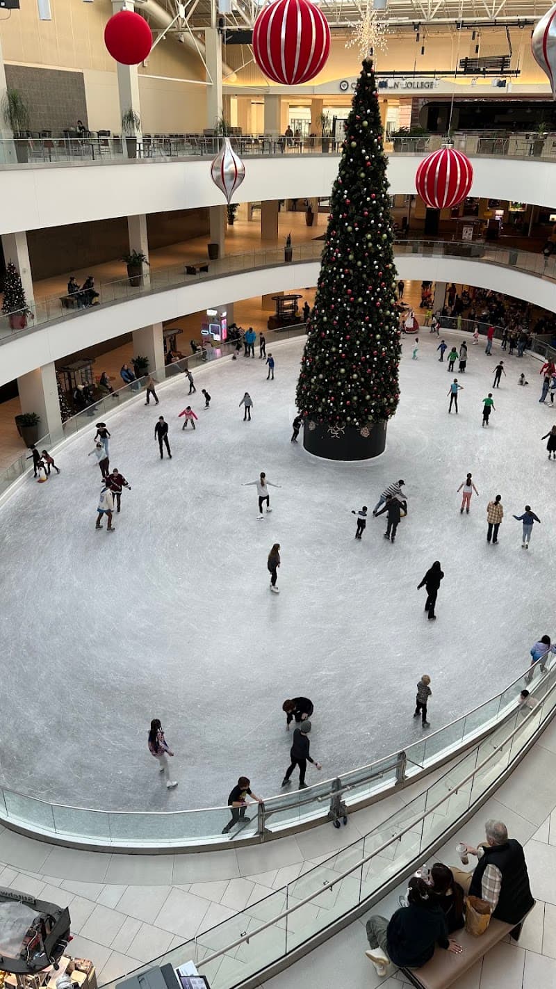 Photo by Artem Metelskiy (Google)