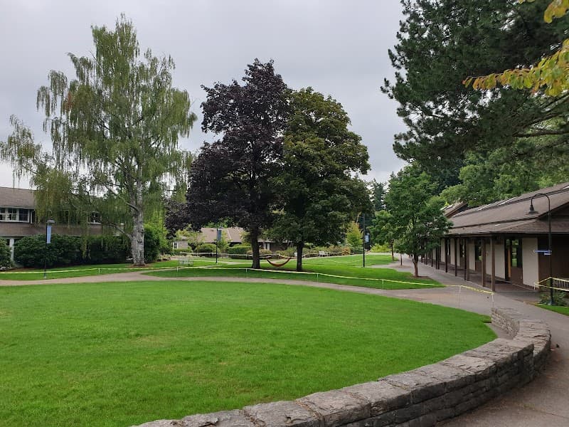 Photo by Mun Jeong Kang (Google)