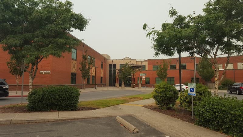 Photo by Olena Rogova (Google)