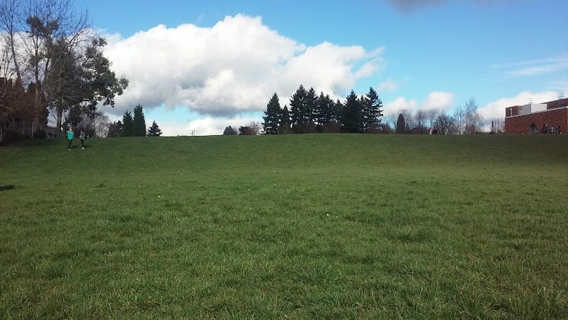 Photo by Violet Dean (Google)