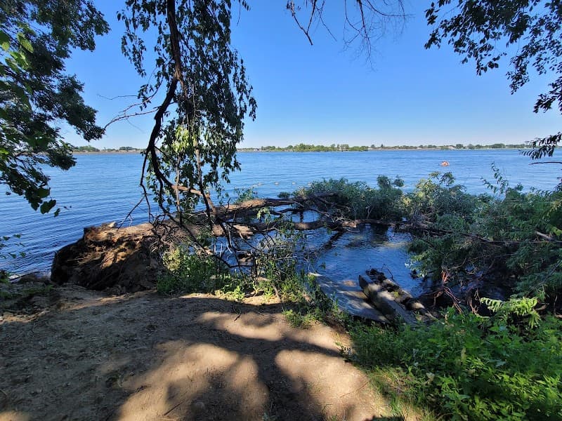 Photo by Mando Galvez (Google)