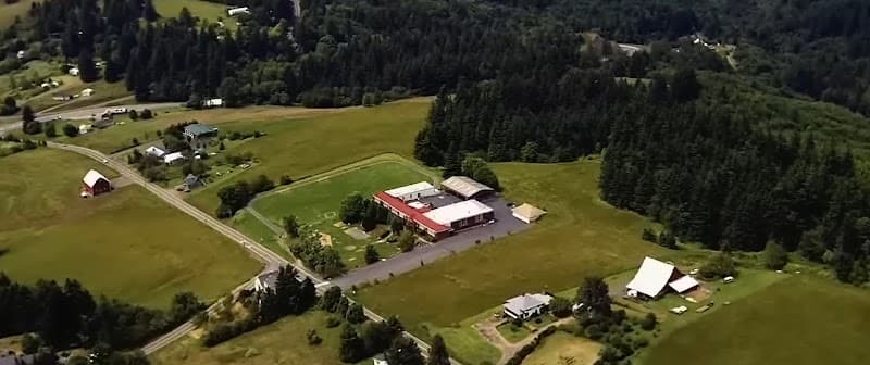 Photo by Coca Cocaalvares (Google)