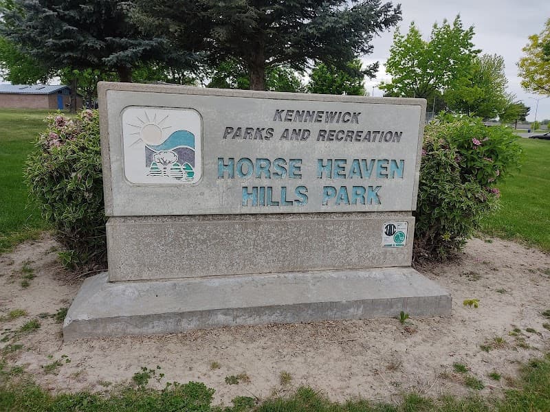 Photo by Nelly Reyes (Google)