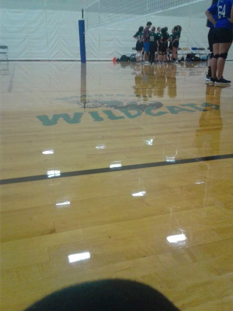 Photo by lizzy gongora (Google)