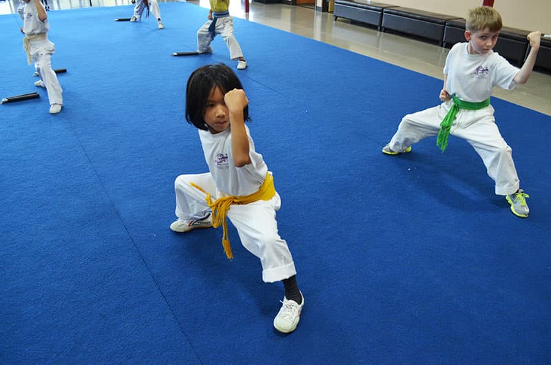Photo by U.S. Wushu Center - Chinese Kung Fu-Tai Chi (Google)