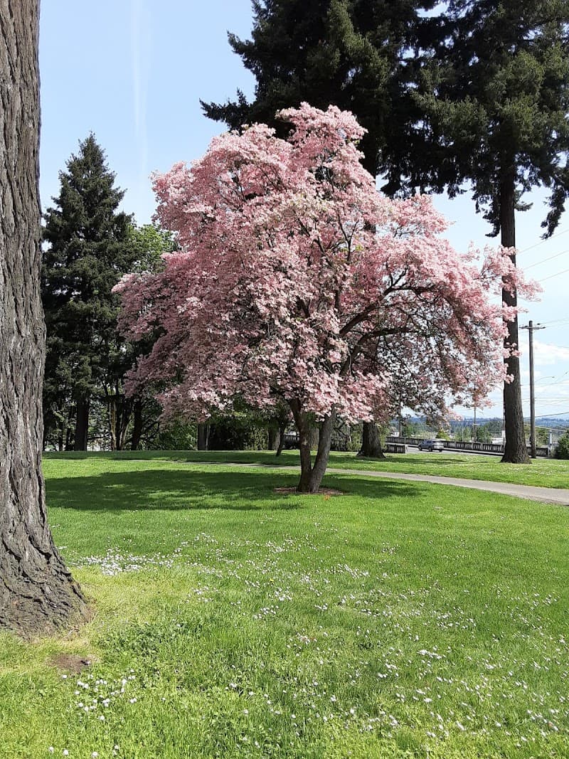 Applegate Head Start