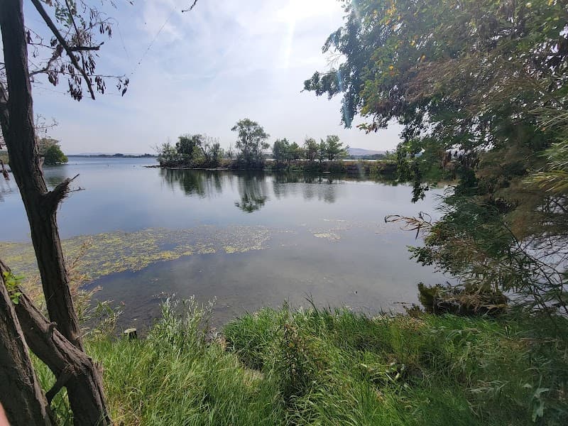 Photo by Adam Hutson (Google)