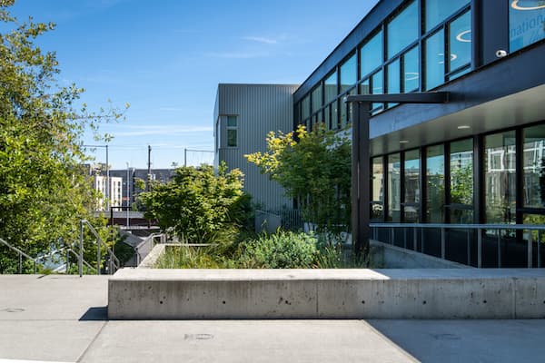 The International School