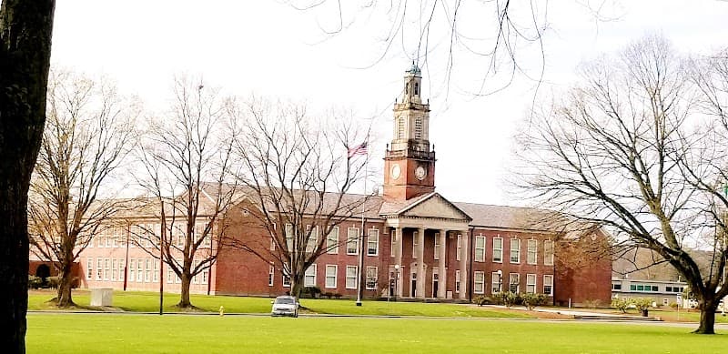 Photo by Cam Kay (Google)