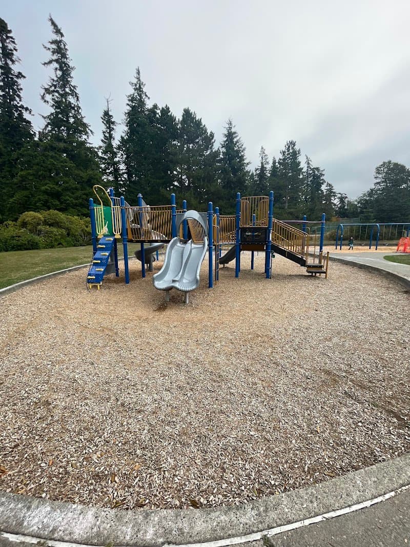 Photo by Mary Lindstrom (Google)