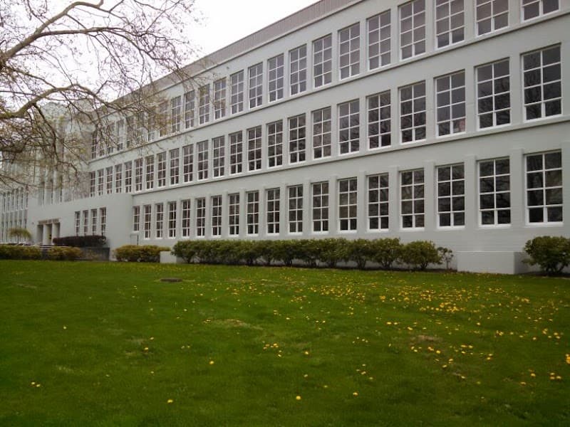 Photo by David Hansen (Google)