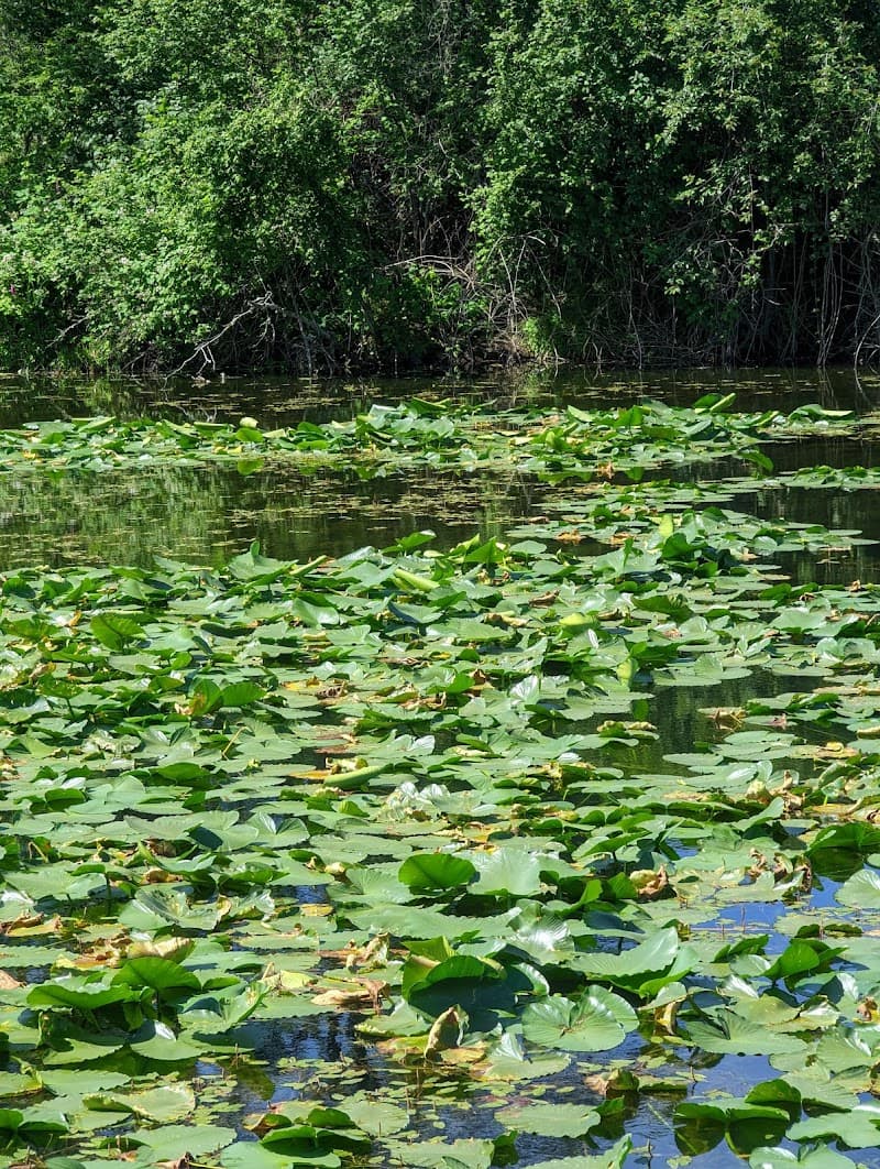 Photo by Terry Holben (Google)