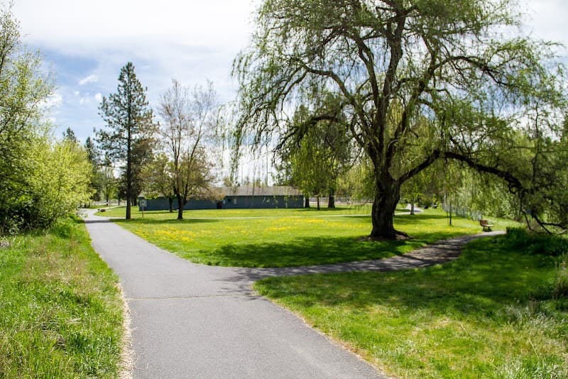 Photo by Mike McCully (Google)