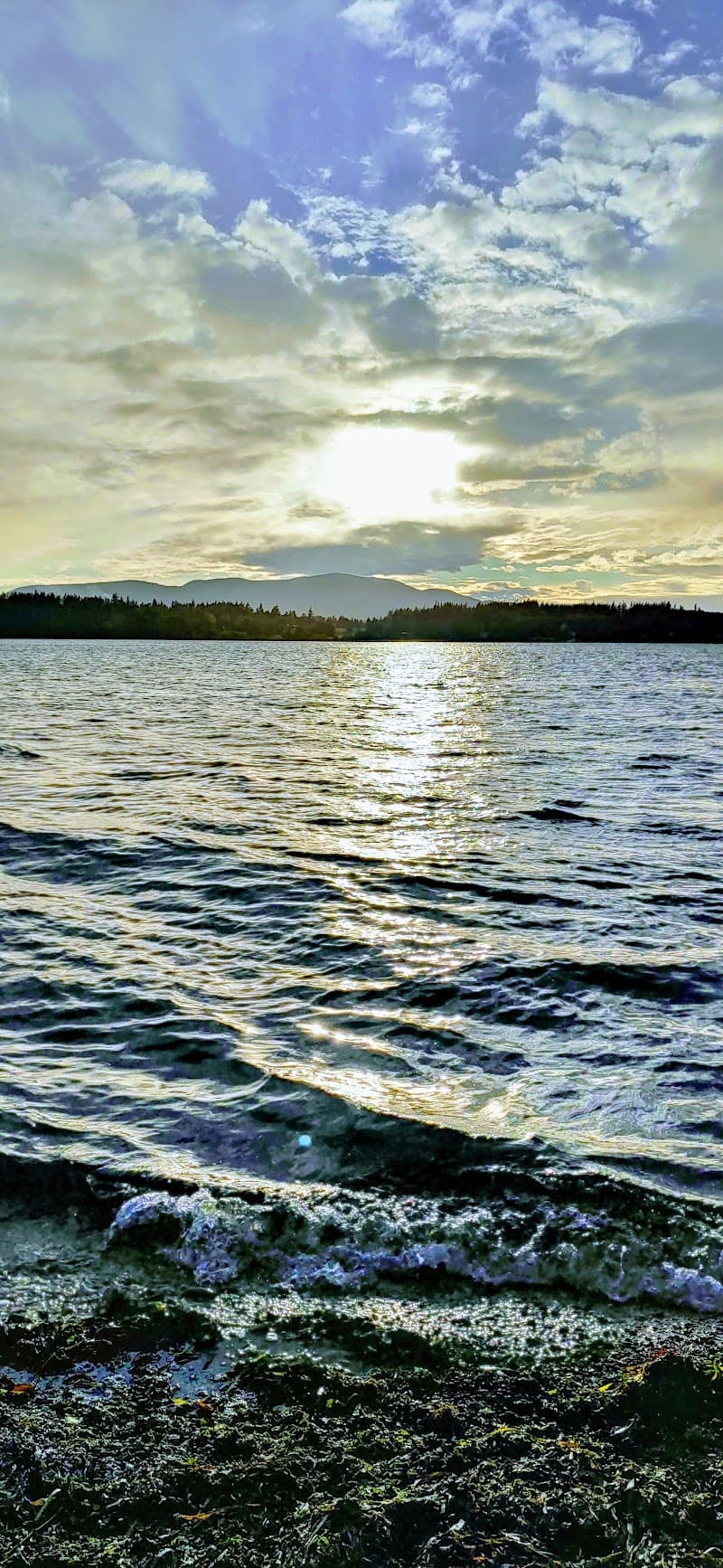 Photo by Winnie Prokopeuf (Google)