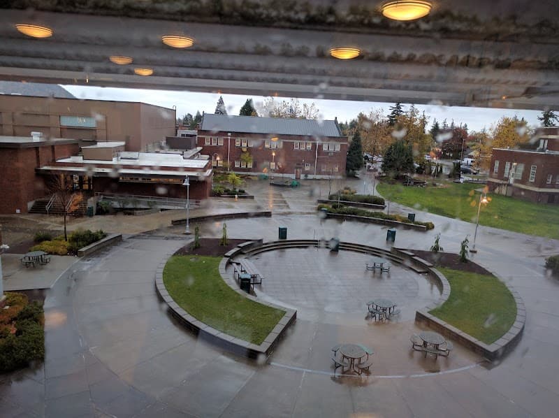 Photo by Xavier C (Google)