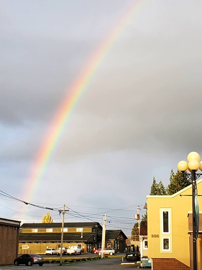 Photo by Anita Mitchell (Google)